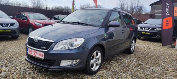 Skoda Fabia GreenLine 2011 - Multimarks Seller Focșani