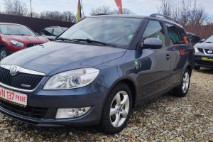 Skoda Fabia GreenLine 2011 - Multimarks Seller Focșani